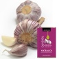 Preview: Limfood | Olivenöl Knoblauch - aus Griechenland